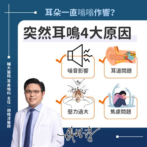 常常耳鳴|耳鳴怎麼辦？耳鼻喉科醫師解析原因、治療、解決方法